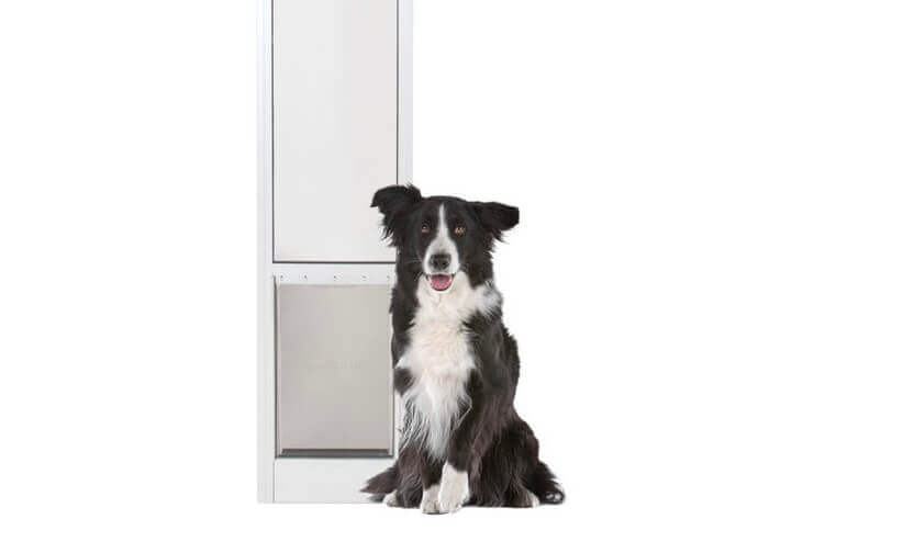 Sliding Screen Door Doggie Door is Loved By Pets and Humans Total Screen