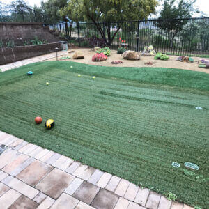 An Entire Yard of Sun-Streaked Artificial Turf