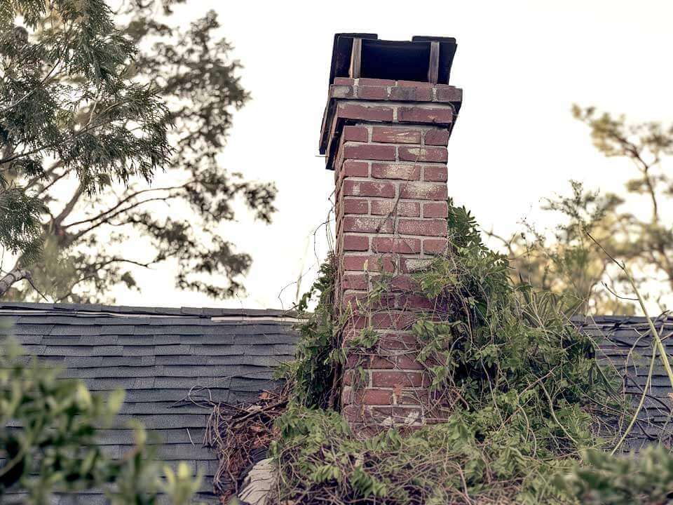 Chimney with Lots of Plants of Brush