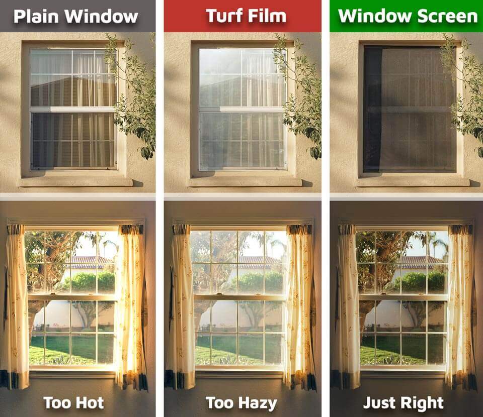 Plain Window VS Turf Film VS Window Screens