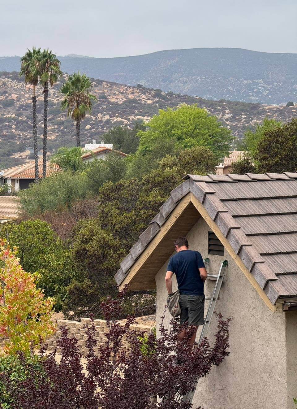 Total Screen technician on a ladder installing ember mesh over an under-eave vent